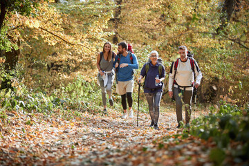 Woman and men hiking in forest