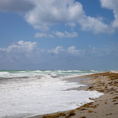 Beach with rubbish and seaweed. Beautiful ocean beach background. On open air. Vacation. The end of summer holidays. Dreaming of a vacation by the sea. Travel.
