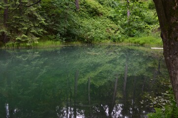 an artificial lake called tajch, surrounded by a spring green forest reflected in the blue surface of the water, Banská Štiavnica