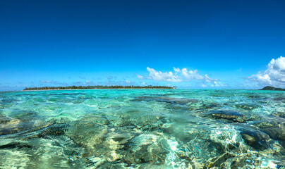 Lagon paradisiaque de Maupiti, Polynésie française