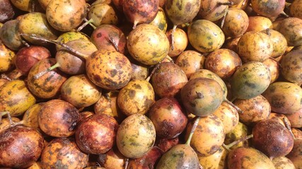 selective focus on passion fruit (Passiflora edulis)