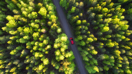 View from above, stunning aerial view of a red car that runs along a road flanked by a green spring forest at sunset.