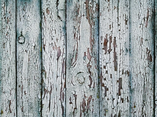 Mint green background of aged wood, fence boards, close-up, top view