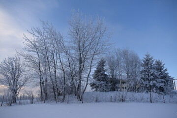 A cold January morning,Sainte-Apolline, Québec