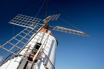 CANARY ISLANDS LANZAROTE CACTUS