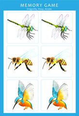 Memory game with hand drawn watercolor illustrations of colorful animals. Children play cards table game. Cut and play, find two identical pictures. Set of cards for children. Dragonfly, wasp, alcedo.