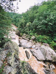 mountain river in the mountains