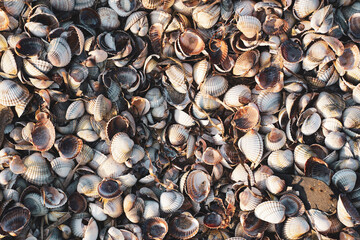 background of stones