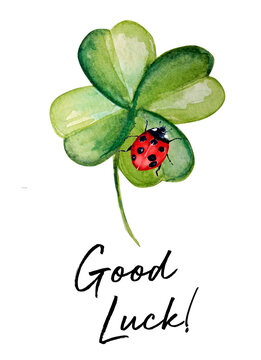 Glückskäfer Bilder Sprüche: Drawing Happiness and Good Luck