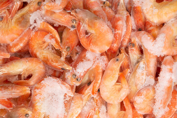 Fresh shrimps in ice. Top view.