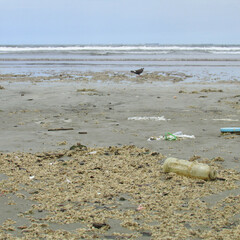 Polluted beach. Beach with pollution. Trash, plastic bottles. Environmental pollution. Plastic in the sea.