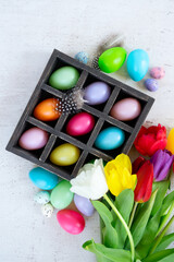 Easter colored eggs with tulips