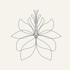 Flower in one line continuous style on white background