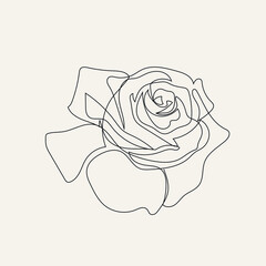 Flower in one line continuous style on white background