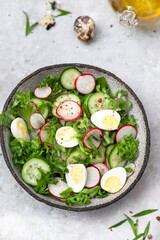 Fresh, spring salad with cucumbers, radishes and herbs