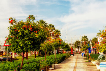 Naklejka premium Embankment with orange trees on the shore of the sea pier. Bodrum. Turkey.