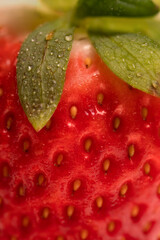 close up of a strawberry with water drops