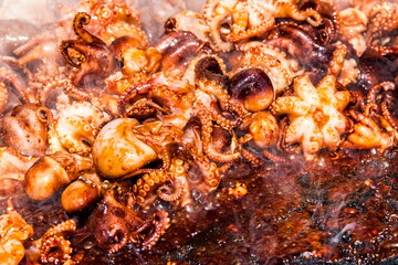 Korean Grilled Octopus