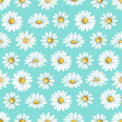 Chamomile, a flower drawn by hand in watercolor. Seamless pattern, on a turquoise background.