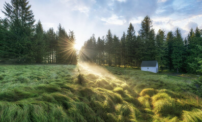 Šumava - Suché Studánky - Czechia