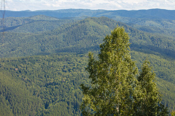 Natural views from a height. Beautiful panoramic landscape from a high point
