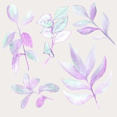 Set of twigs with lilac and green leaves individual elements