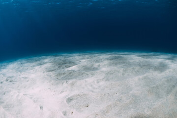 Fototapeta premium Blue ocean at the deep with white sand and underwater