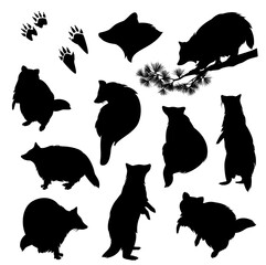 raccoon (Procyon lotor) black and white vector silhouette set - standing, walking, crawling animal with footprints and profile head outline © Cattallina