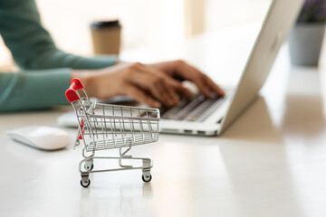 Online Payment. Close up of woman holding shopping cart and using computer laptop for online...