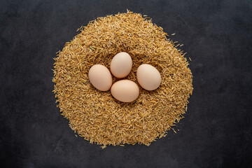 Eggs on chaff on black background