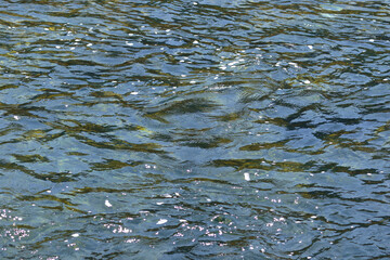 Homogeneous natural texture of river water on a sunny day