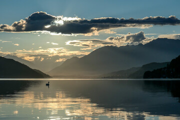 A swan crossing the Millstaetter lake in Austria during the sunset. The lake is surrounded by high Alps. Calm surface of the lake reflecting the sunbeams. The sun hides behind the thick clouds. Calm