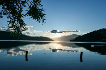 A swan on the Millstaetter lake in Austria during the sunset. The lake is surrounded by high Alps. Calm surface of the lake reflects the sunbeams. A few tree brunches in front. Sun hides behind clouds