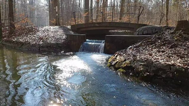 Bach mit kleinem Wasserfall im Siebentischwald Stadtwald Augsburg Zigeunerbach m&uuml;ndet in Siebenbrunner Bach