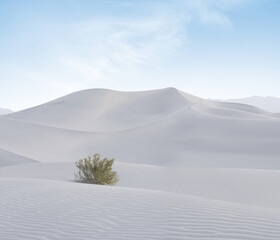 view of nice sands dunes at Sands Dunes National Park