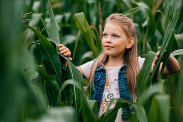 Young pretty girl in a corn field. Looking away