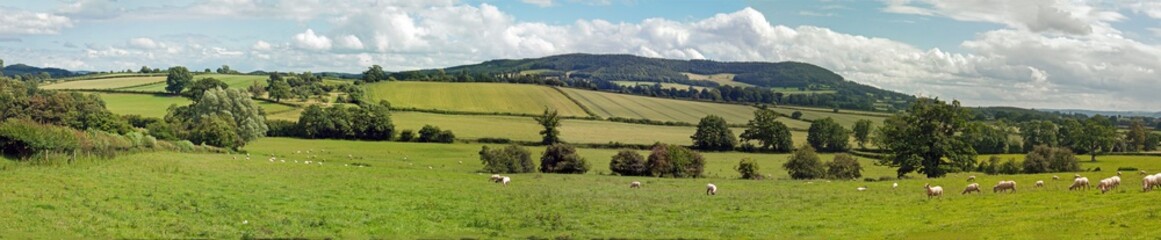 Fototapeta na wymiar Panoramic landscape in the UK.