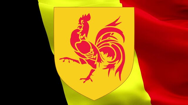 Wallonia region flag in Belgium. 3d Belgium Wallonia French Community flag waving. Walloons Belgian and Brussels represent Parti Socialiste party. Wallonia Community flag HD resolution Background. Wal