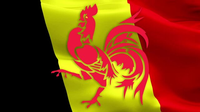 Wallonia region flag in Belgium. Belgium Wallonia French Community flag waving. Walloons Belgian and Brussels represent Socialist Party party. Walloons flag Closeup 1080p Full HD video for presentatio
