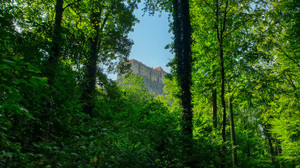 Riegersburg castle in Austria seen in between the trees. The high trees have dense branches. Clear blue sky above the castle. Sneak peak on the massive fortress build on the rock. Middle ages