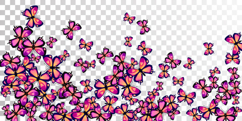 Tropical purple butterflies cartoon vector illustration. Summer vivid moths. Detailed butterflies cartoon children background. Gentle wings insects graphic design. Garden beings.