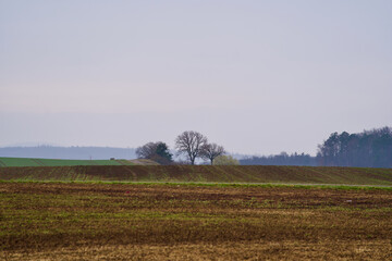Obraz premium Rural landscape scenery with fields and trees at Kloten, Switzerland.