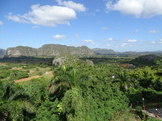 Fototapeta na wymiar vinales valley in cuba