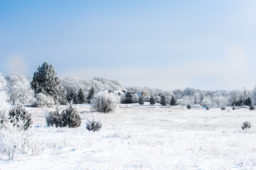 Beautiful rural winter scene with snow covered plants and trees.