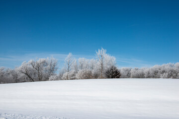 Beautiful snowy winter scene in rural setting.