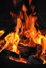 leños prendido fuego