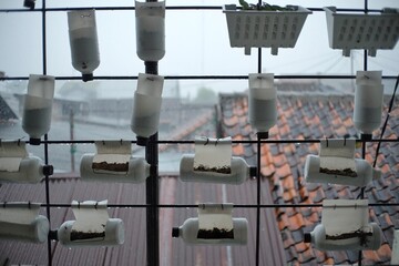 Vertical plant pots by utilizing used plastic packaging bottles in dense residential complexes