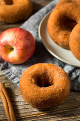 Homemade Sweet Apple Cider Donuts