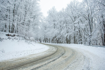 Obraz premium Road in Sabaduri forest with covered snow. Winter time
