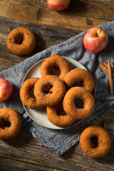 Homemade Sweet Apple Cider Donuts